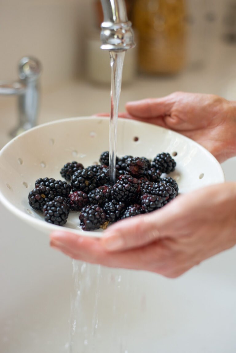 Tips for Planning Healthy Kids’ Lunches: Simple Ideas for Nutritious Meals